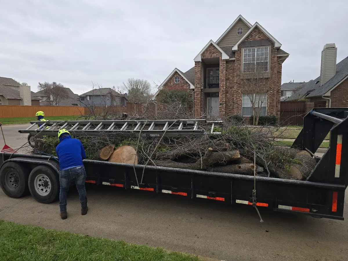 Expert Lot Clearing with proper safety equipment in Mc Guffey